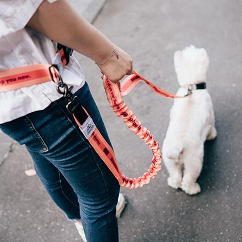 Running Gear Dog - قابل للتعديل اليد الحرة الكلب المقود