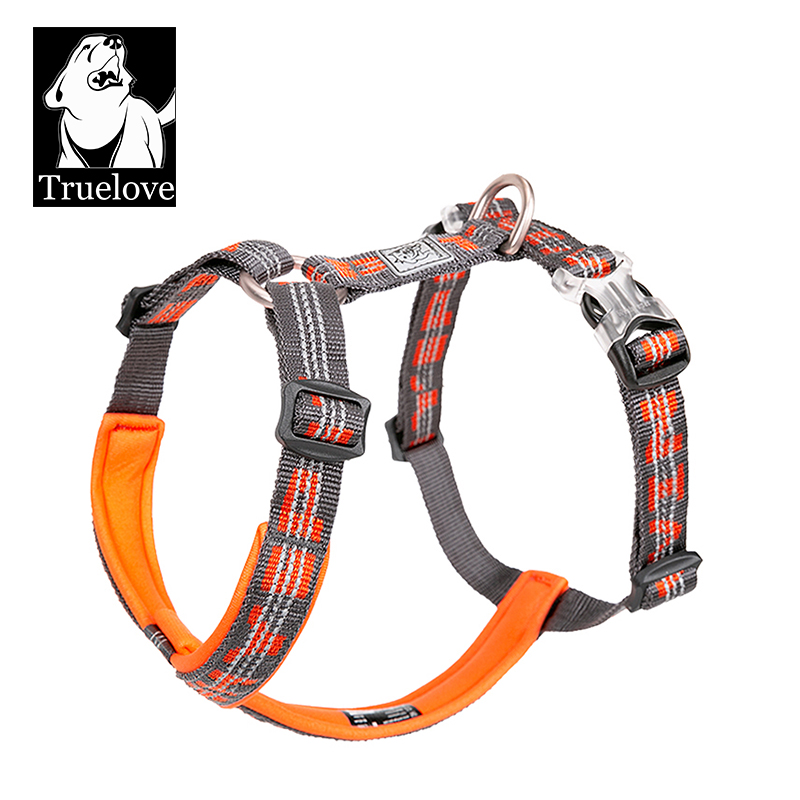 TRUELOVE الحيوانات الأليفة تسخ - مراجعة Running Gear Dog وسعره