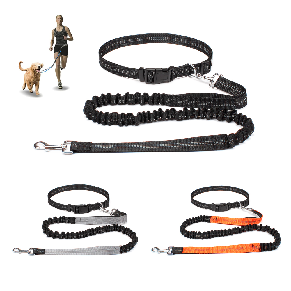 حزام كلب بدون استخدام اليدين ل - مراجعة Running Gear Dog وسعره
