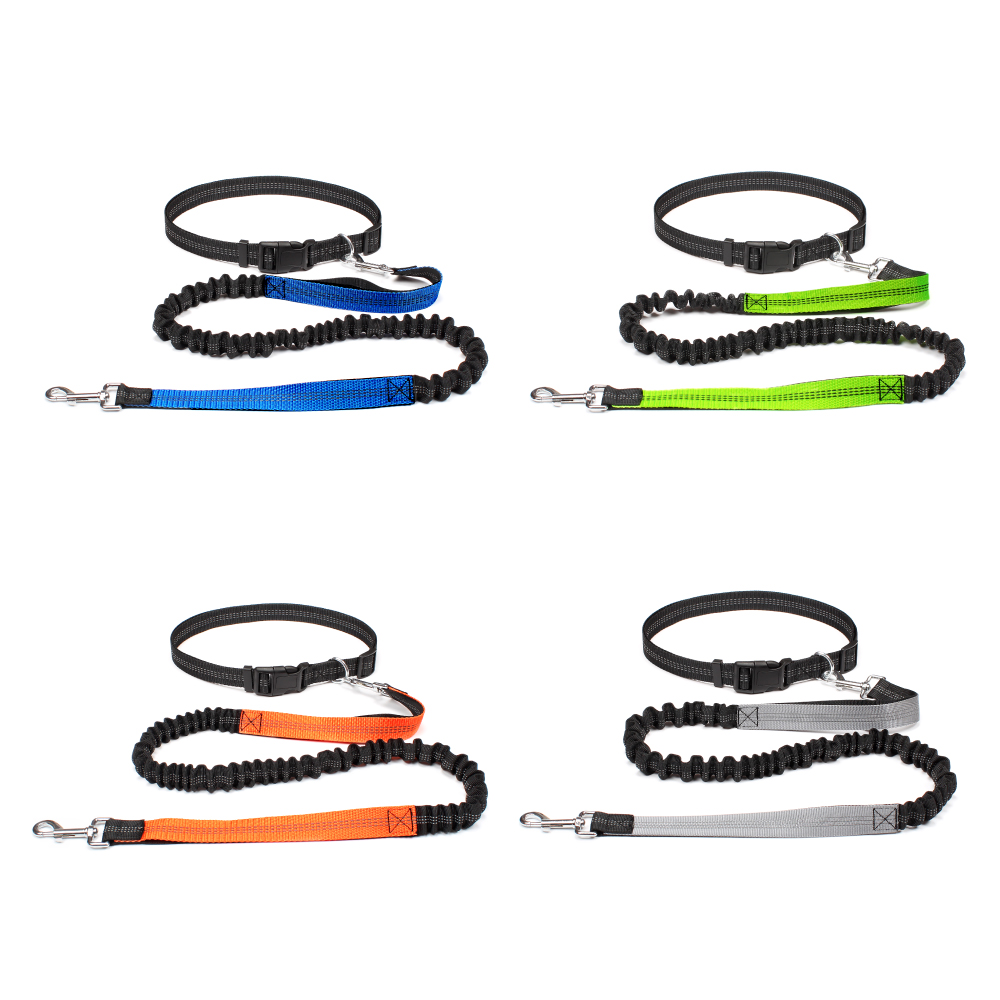 حزام كلب بدون استخدام اليدين ل - مراجعة Running Gear Dog وسعره
