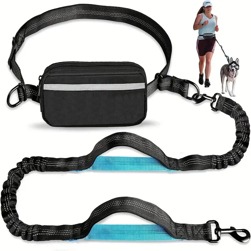 مقود كلب مجاني مع حقيبة بسحاب، - مراجعة Running Gear Dog وسعره