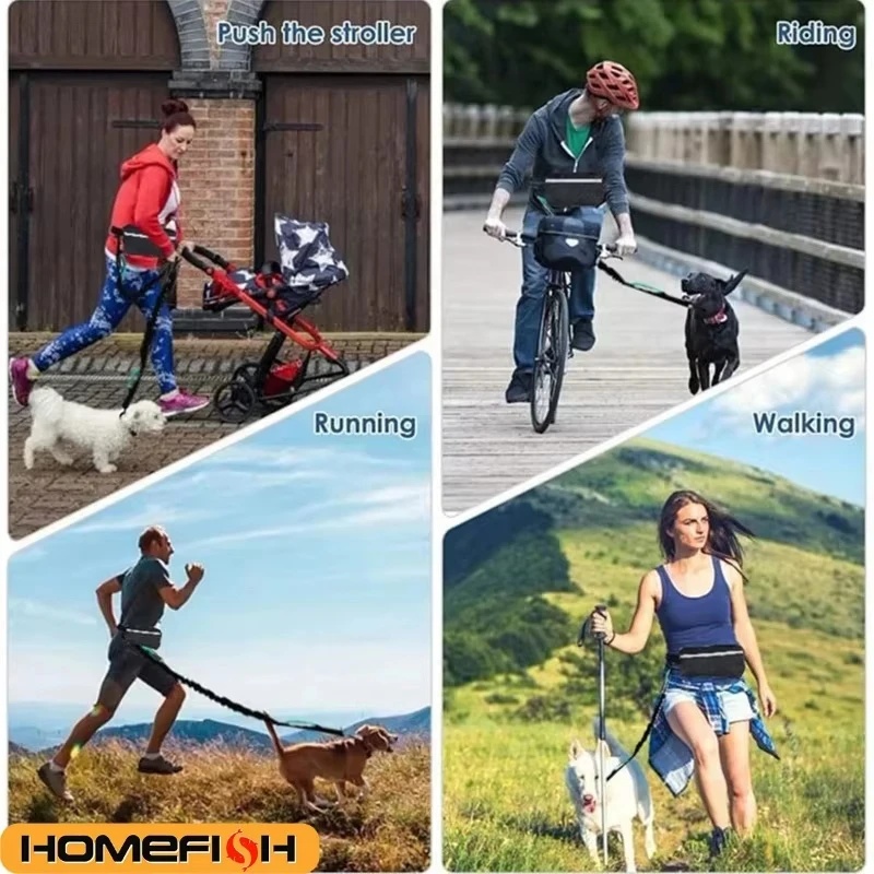 حزام كلب عاكس للضوء بدون استخد - مراجعة Running Gear Dog وسعره