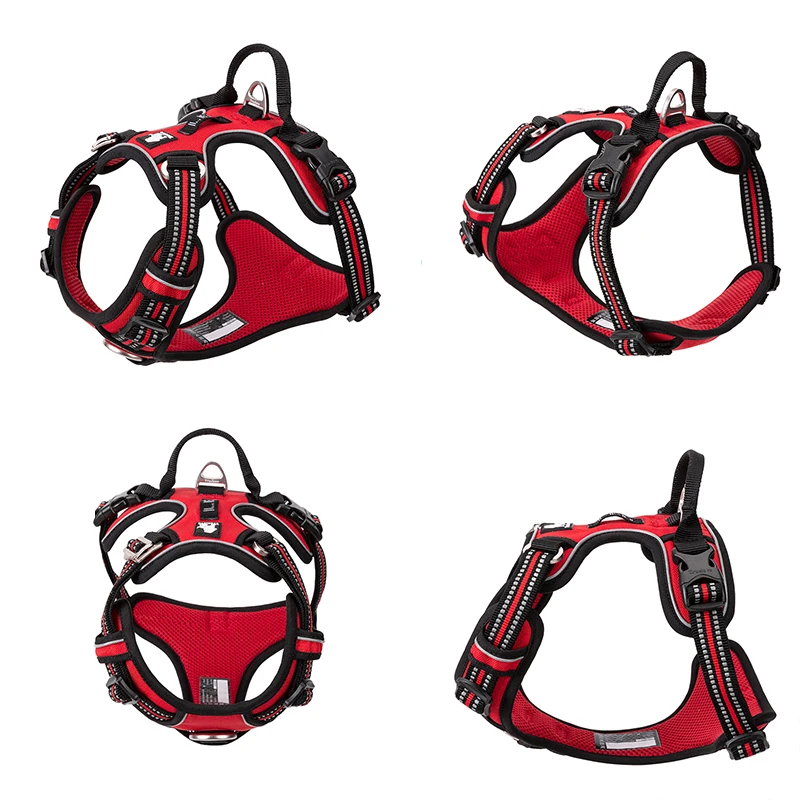 Truelove الحيوانات الأليفة عاك - مراجعة Running Gear Dog وسعره