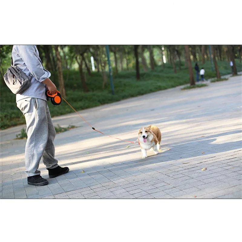 3M/5M/8MRetractable الكلب المق - مراجعة Running Gear Dog وسعره